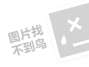 喜德盛电动车（创业项目答疑）